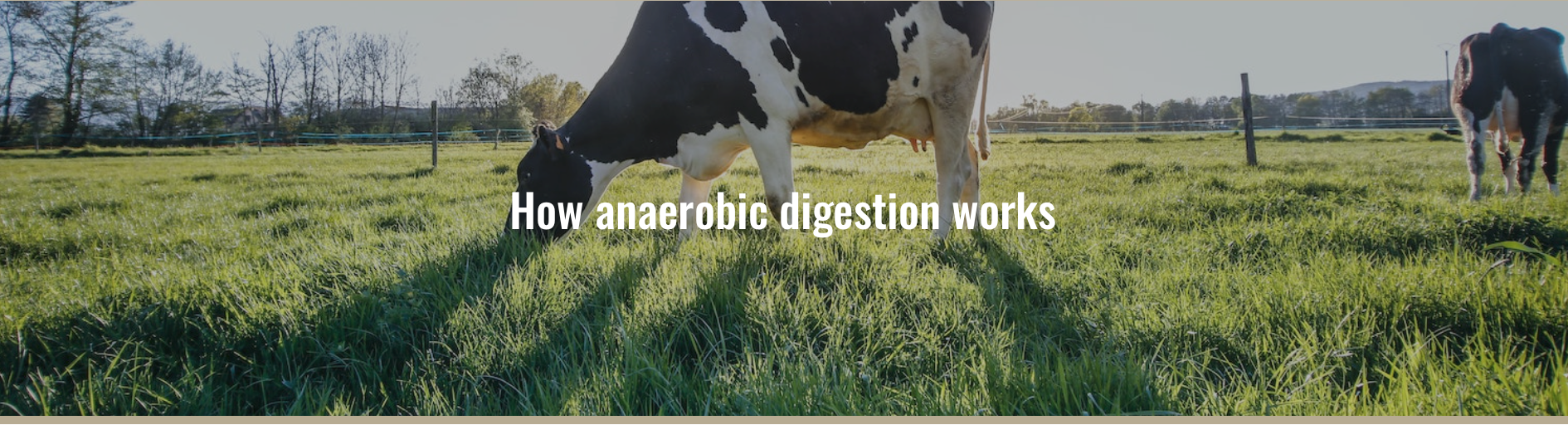 hero banner that says "How anaerobic digestion works"